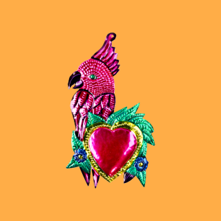 Pappagallo Innamorato con...