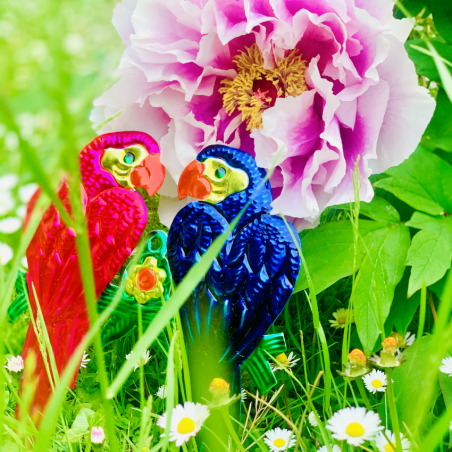 Coppia di Pappagalli...