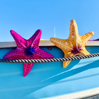 Scultura Stella Marina