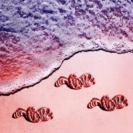 Fregio in Legno "Frammenti...