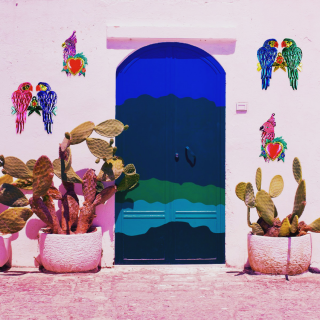 Coppia di Pappagalli...