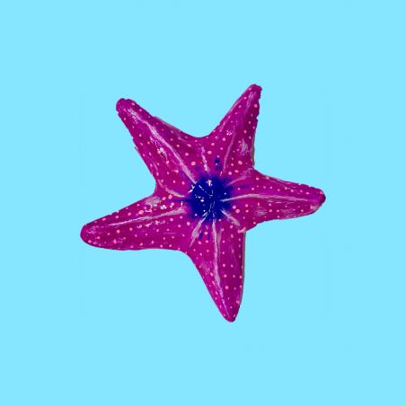 Scultura Stella Marina