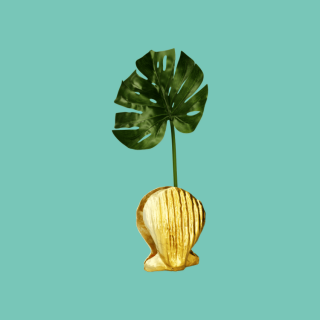 Scallop Shell Sculpture...